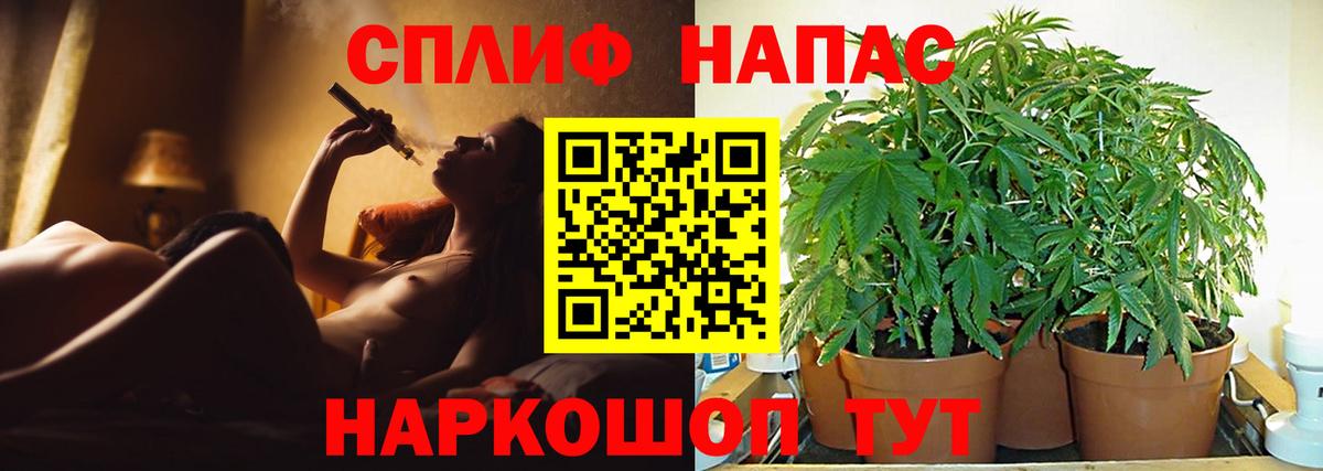 Пушкино  Бошки марихуана марихуана  Марихуана ГИДРОПОН  Каннабис гибрид  Вход с VPN 